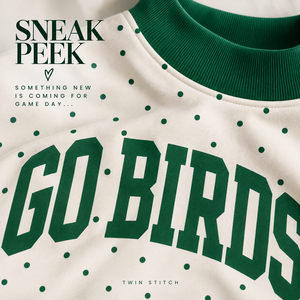 GO BIRDS Reversible Mockneck- PREORDER